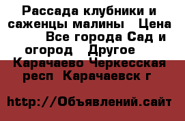 Рассада клубники и саженцы малины › Цена ­ 10 - Все города Сад и огород » Другое   . Карачаево-Черкесская респ.,Карачаевск г.